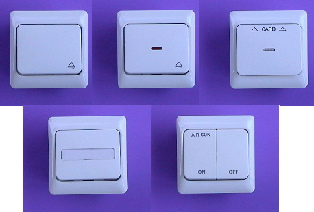 Designer Switches